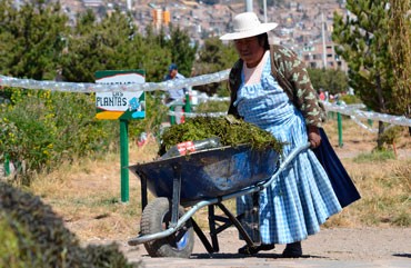 Puno: Recolectan más de dos toneladas de basura a orillas del Titicaca