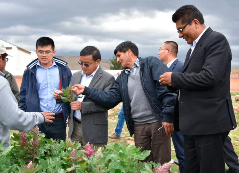 Embajador de China critica producción de quinua en Puno
