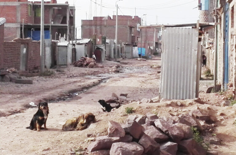 Piden funcionario ad hoc en Seda Juliaca