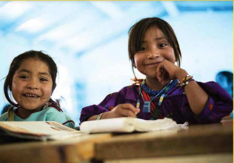 Cómo se configura la educación﻿