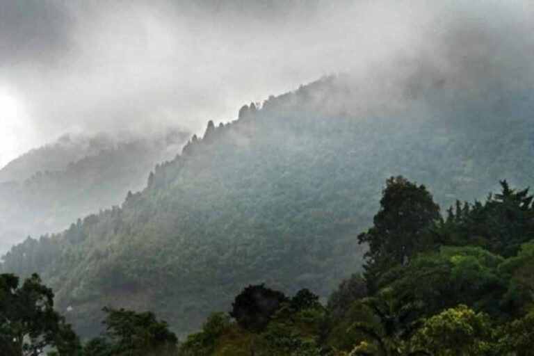 Friaje en la selva puneña empezará este lunes