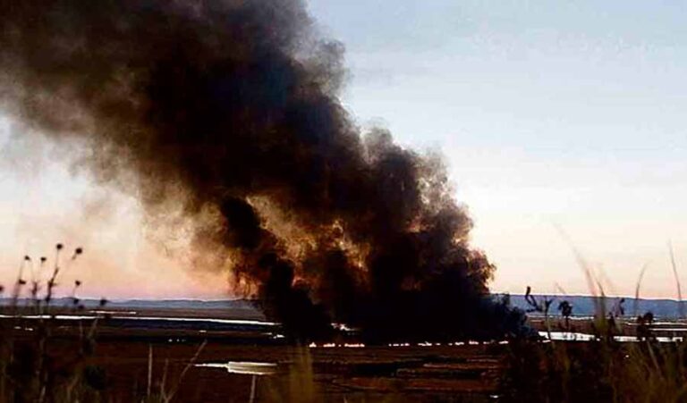 Puno: Totorales fueron arrasados por incendio