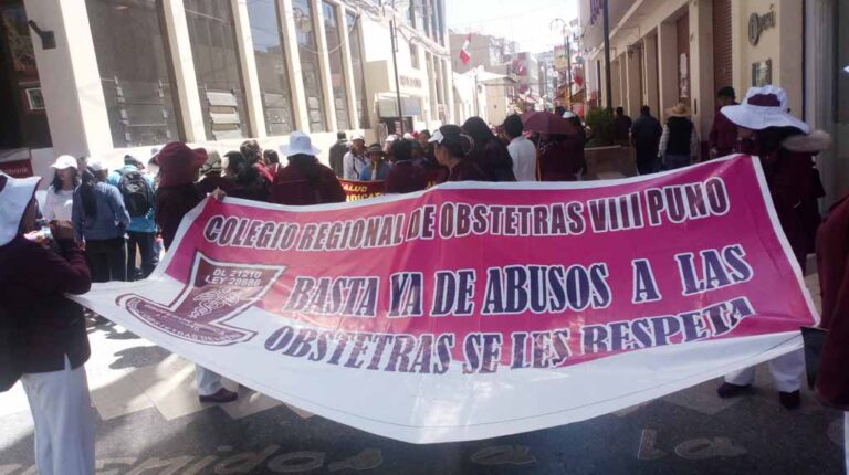 Puno: Obstetras exigieron respeto a su profesión