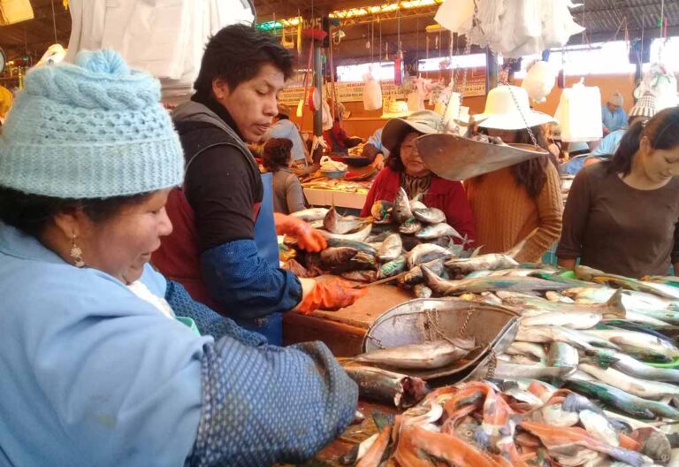 Puno: El 40% de pérdidas en la producción pesquera se debe a enfermedades bacterianas