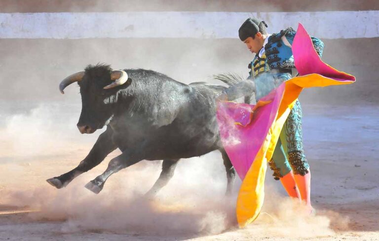 Tauromaquia en la Ciudad Rosada