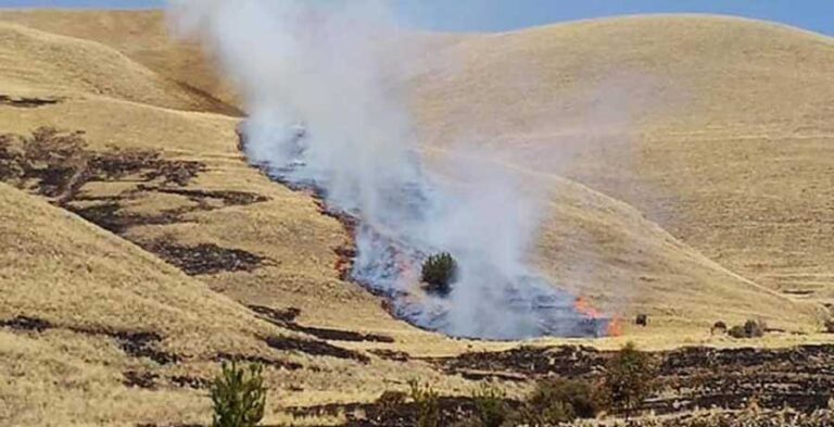 Puno: Hasta 10 UIT de multa para quien cause incendios forestales