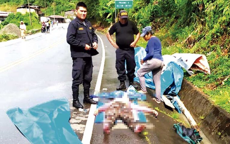 Conductor que atropelló y mató a una adolescente se dio a la fuga