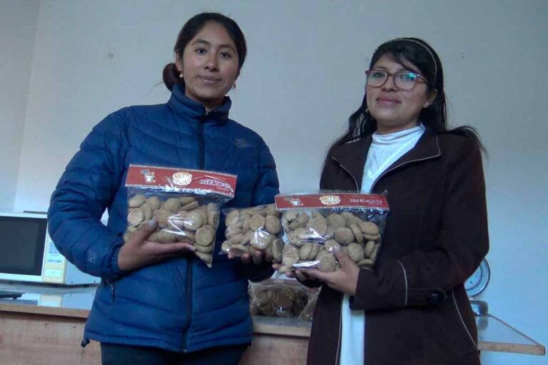Madre puneña creó galletas ricas en hierro para combatir la anemia