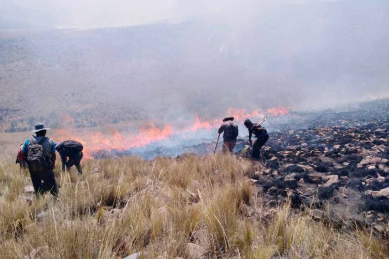 Más de 2 mil hectáreas fueron arrasadas por incendio forestal en Arequipa