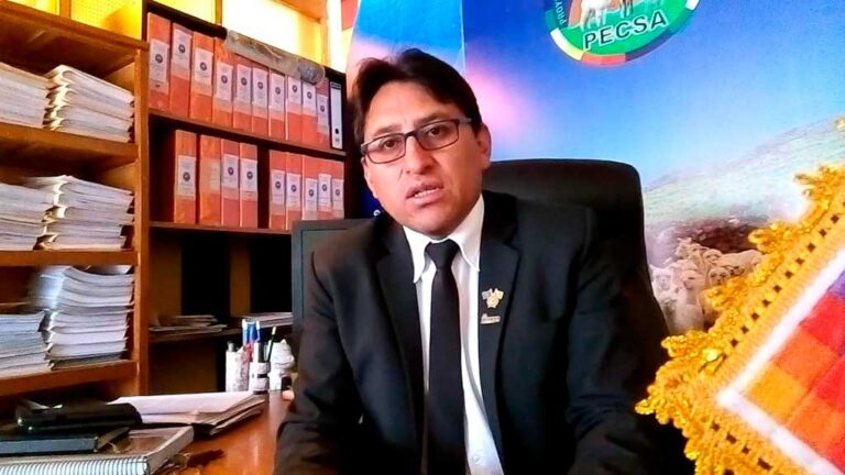 Puno: Volcán Ubinas no afectó demasiado a alpacas, aseguró director de Pecsa