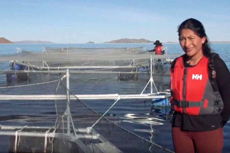 Truchas Arapa SAC ocupó el tercer lugar en concurso internacional