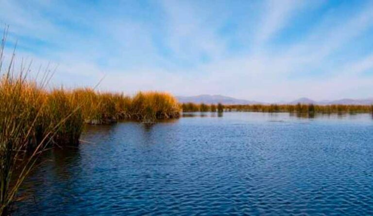 Evaluarán impacto de actividad industrial en lago Titicaca