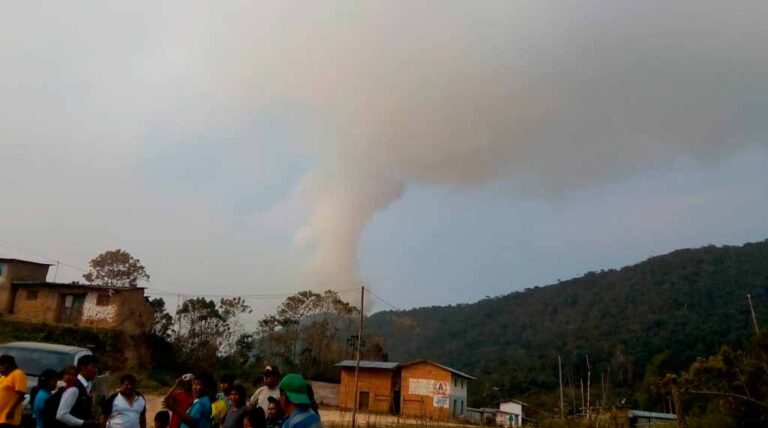 Por lo menos 115 hectáreas de cultivos fueron afectadas en incendio forestal
