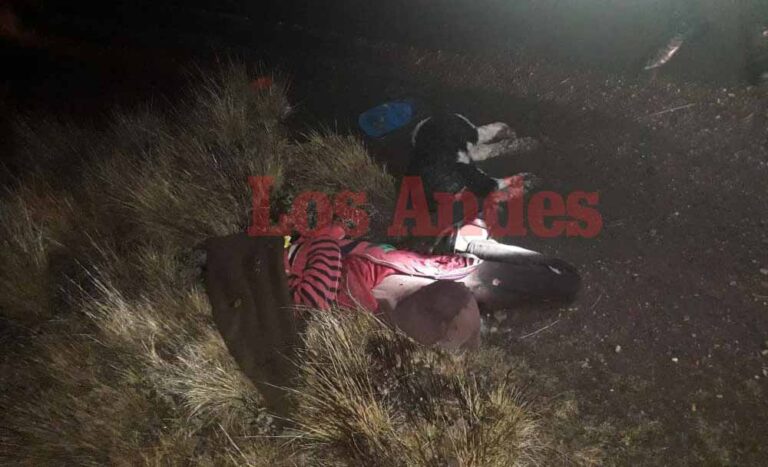 Escolar y su perro murieron fulminados por un rayo