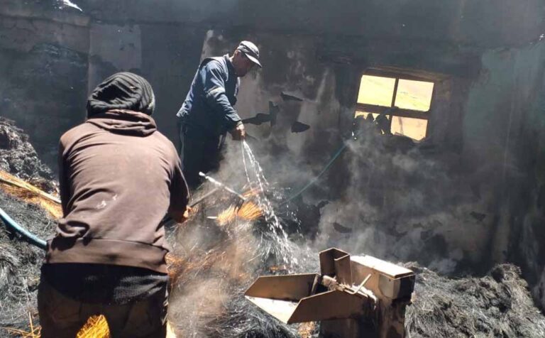 Fuego arrasó con varias hectáreas de pastizales y viviendas enteras