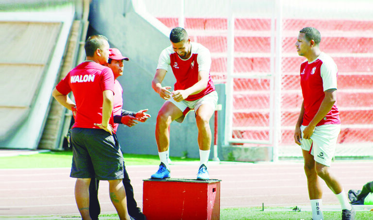 Buscan recuperarse