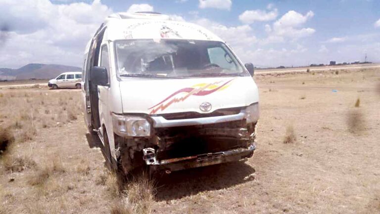 Conductor que atropelló y mató a 16 ovejas pagará 2 mil soles por daños