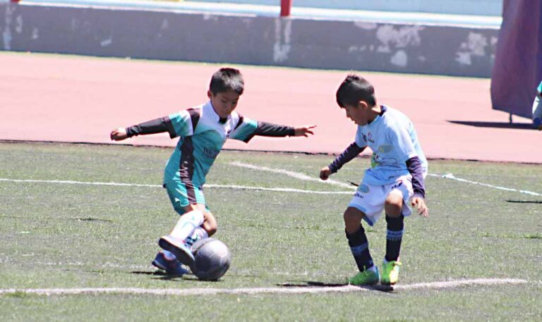 Excelente nivel