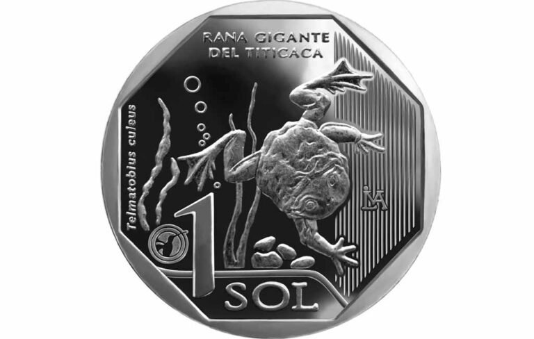 Rana Gigante del Titicaca aparece en última moneda coleccionable de la serie de «Fauna Silvestre Amenazada»