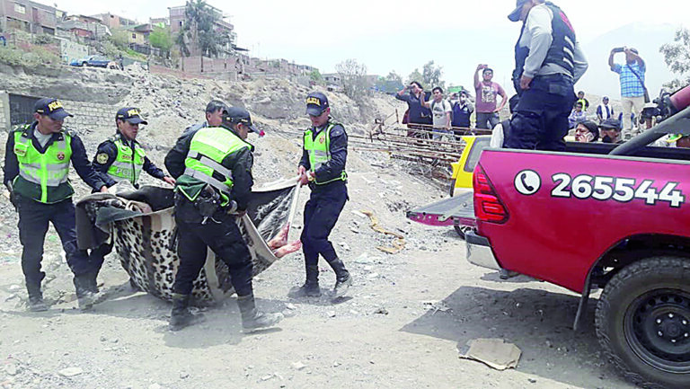 Arrojaron cadáver  de mujer a torrentera