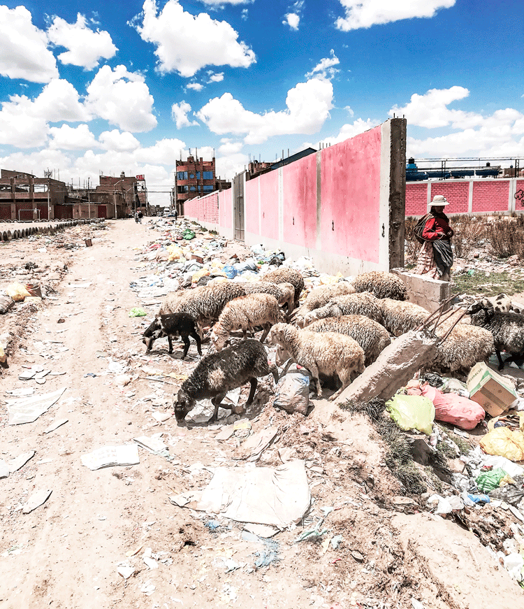 ¡Atentado ambiental!
