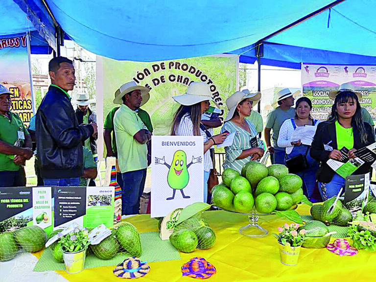 Hay S/ 10 millones para  proyectos de inversión