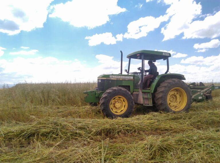 Cinco proyectos en  sector agropecuario