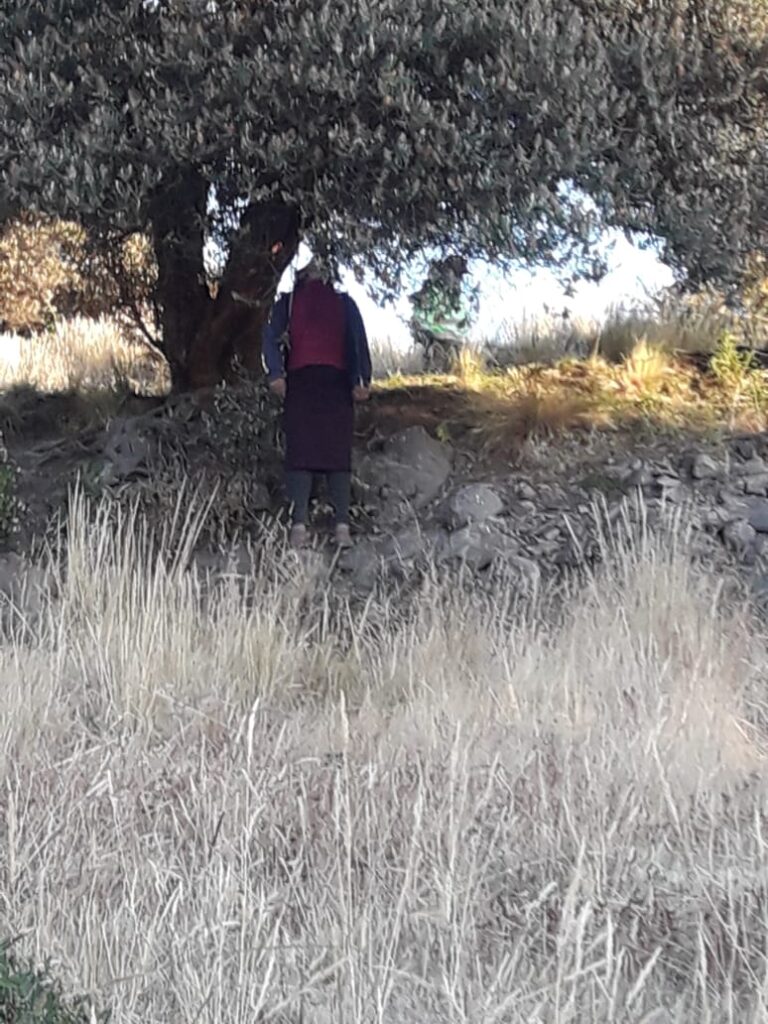 Joven de 18 años  apareció colgada