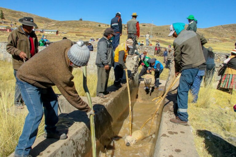 Realizan bañado y  desparasitación