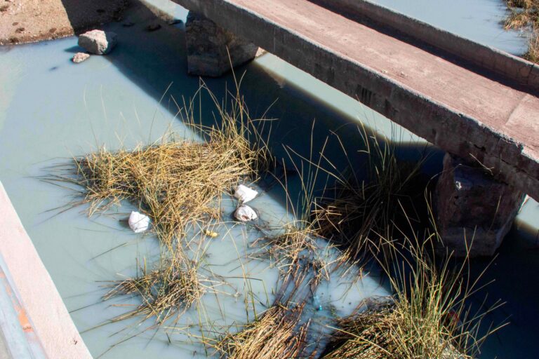 Río es contaminado por productores de tunta