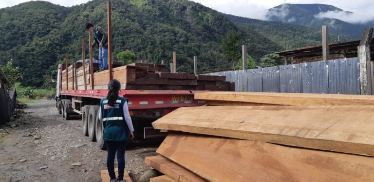 Decomisan madera de  procedencia ilegal