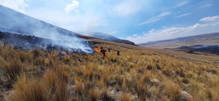 Incendio daña pastizal y animales en Tiquillaca