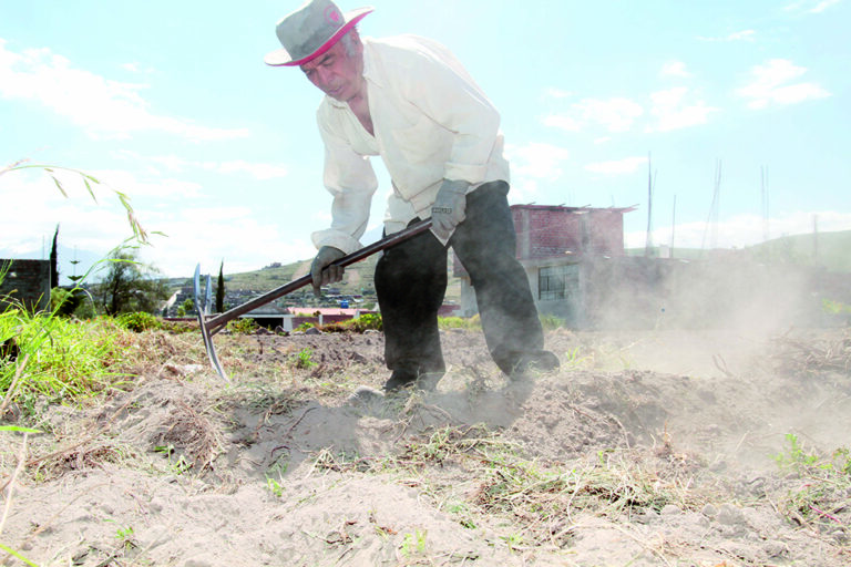 Crédito agrario llega a cuentagotas