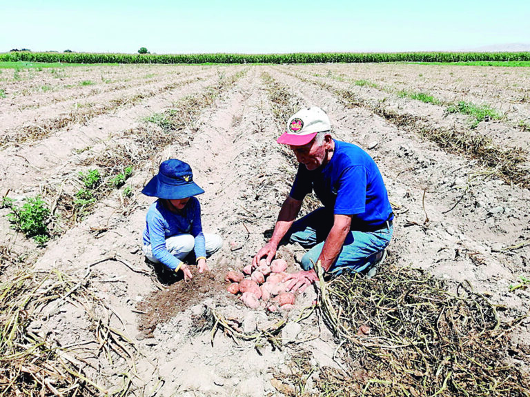 No más “mecidas” al sector agrario