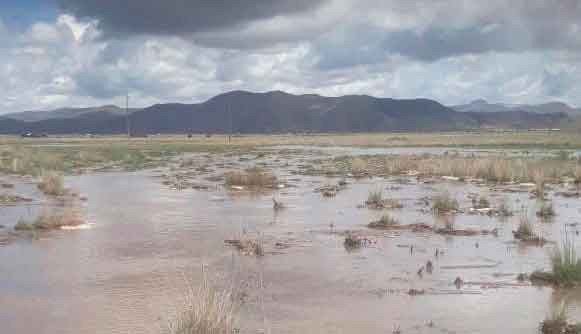 Furia de la naturaleza afecta a lampeños