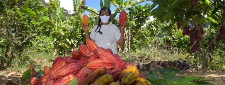 Devida invirtió más de 173 millones en desarrollo alternativo en el 2020