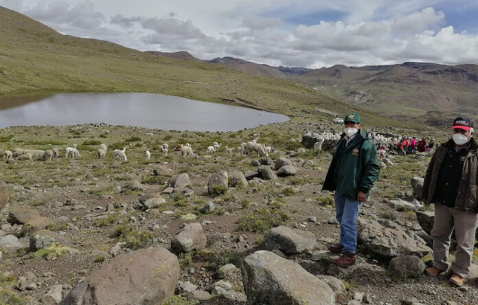 Castilla: GRA gestionará financiamiento para proyecto agropecuario en Chachas