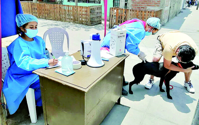 En la Asociación Nuevo Horizonte se reporta el tercer caso de rabia en Majes