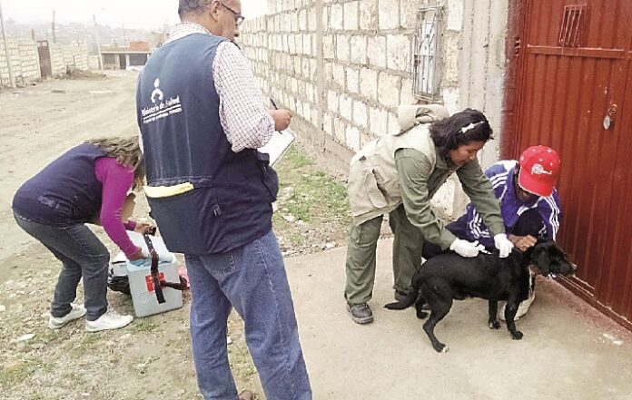 Microrred de Salud El Pedregal pide apoyo para erradicar rabia en Majes