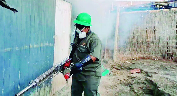Caravelí: Intervienen mil 146 viviendas en Yauca para evitar propagación del dengue