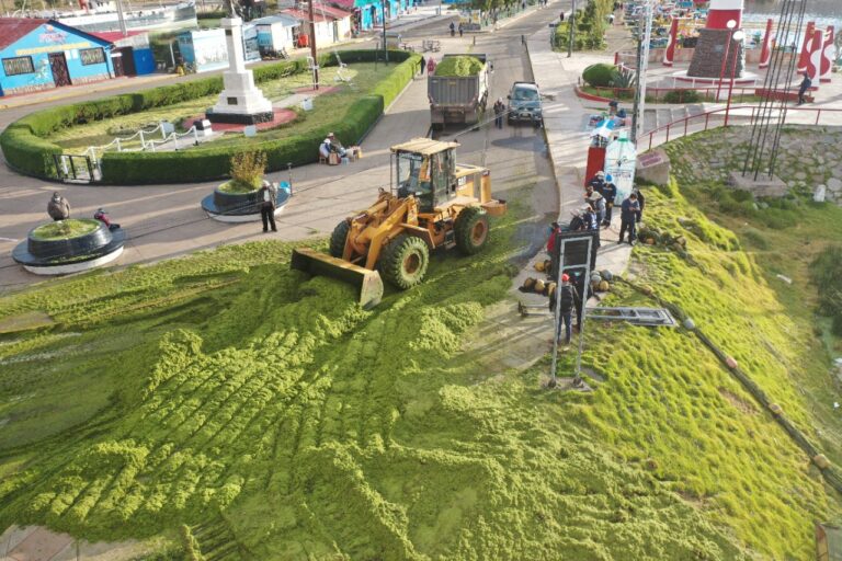 Instituciones conformarán comisión de trabajo para controlar el crecimiento de la lenteja en el Lago Titicaca