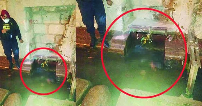 Arequipa: Encuentran cadáver de un varón dentro de canal de regadío en Cerro Colorado