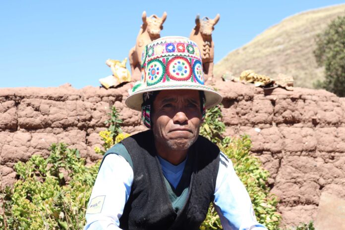 Puno: Artesanos necesitan ayuda para vender toritos de Checca Pupuja