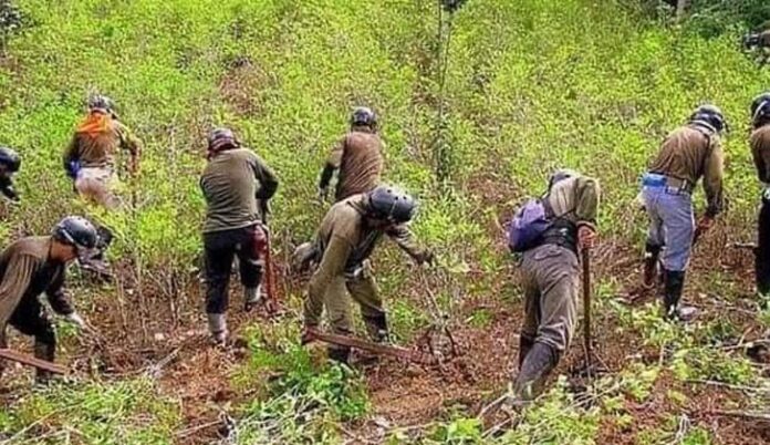 San Gabán: Crece tensión por presencia de personal militar en el sector Selva Verde