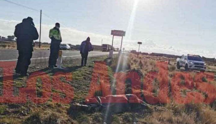 Lampa: Anciano es atropellado mientras se dirigía a su chacra en Calapuja