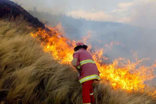 Bomberos de Puno requieren equipos y vehículos para atender incendios forestales
