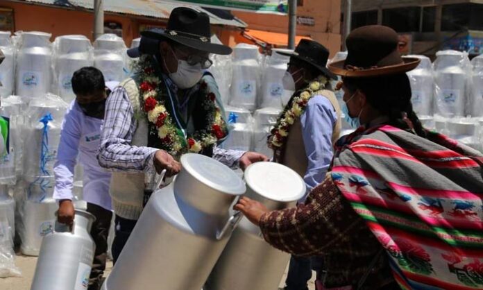 Entregan 1.049 porongos lecheros a productores de Puno, Chucuito y El Collao