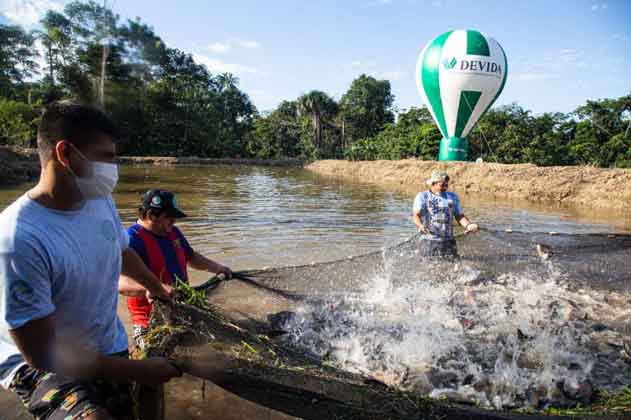Familias de 9 regiones del país incursionan en el cultivo de productos alternativos