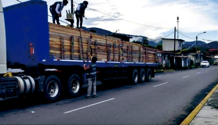 Decomisan más de 4 mil pies tablares de madera de procedencia ilegal