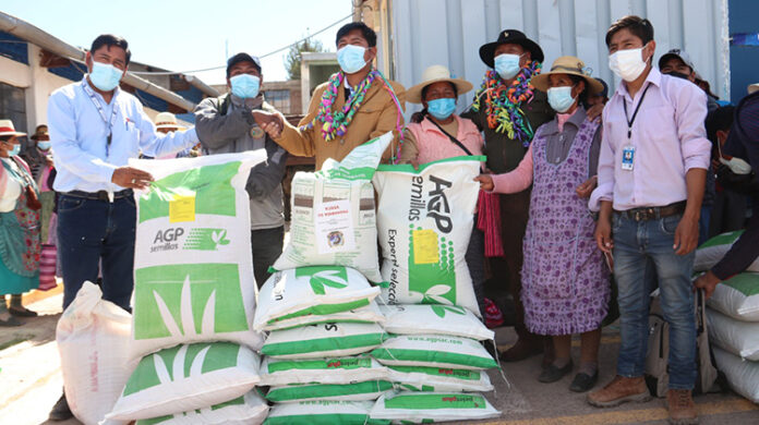 Entrega de porongos lecheros y semillas de alfalfa a más de 13 mil familias